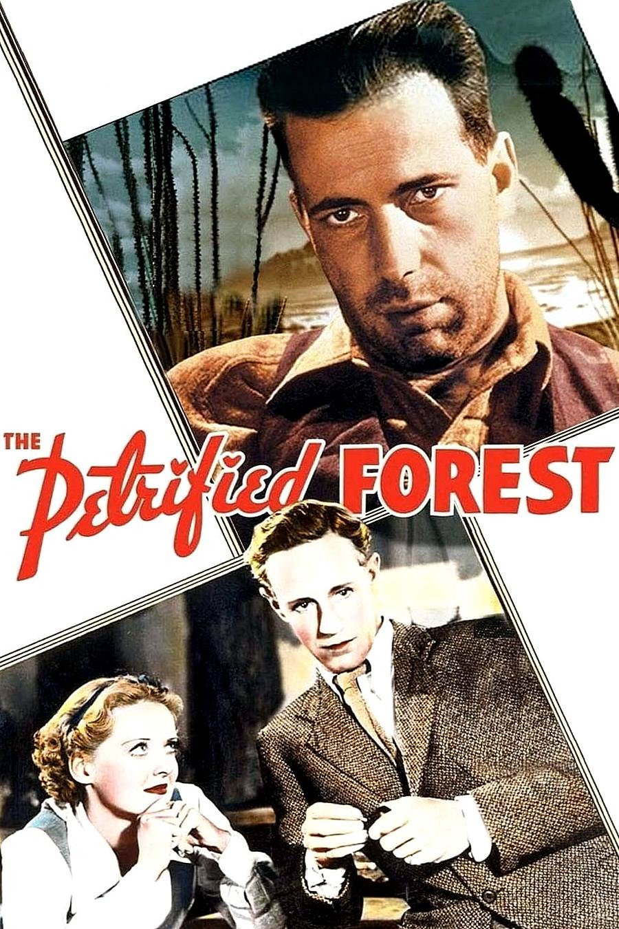 The Petrified Forest