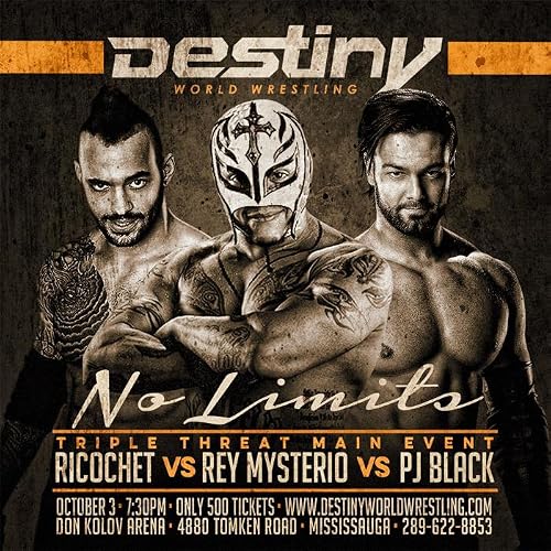 Destiny World Wrestling: No Limits