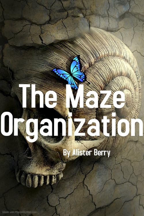 The Maze Organization