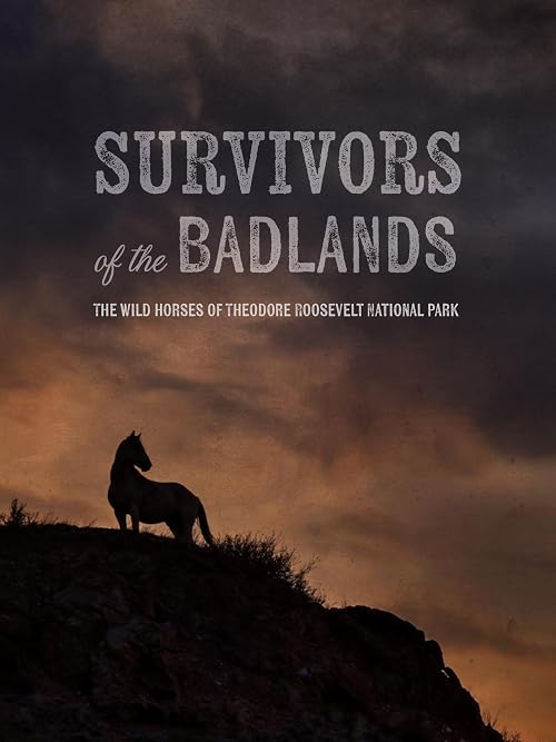 Survivors of the Badlands: The Wild Horses of Theodore Roosevelt National Park