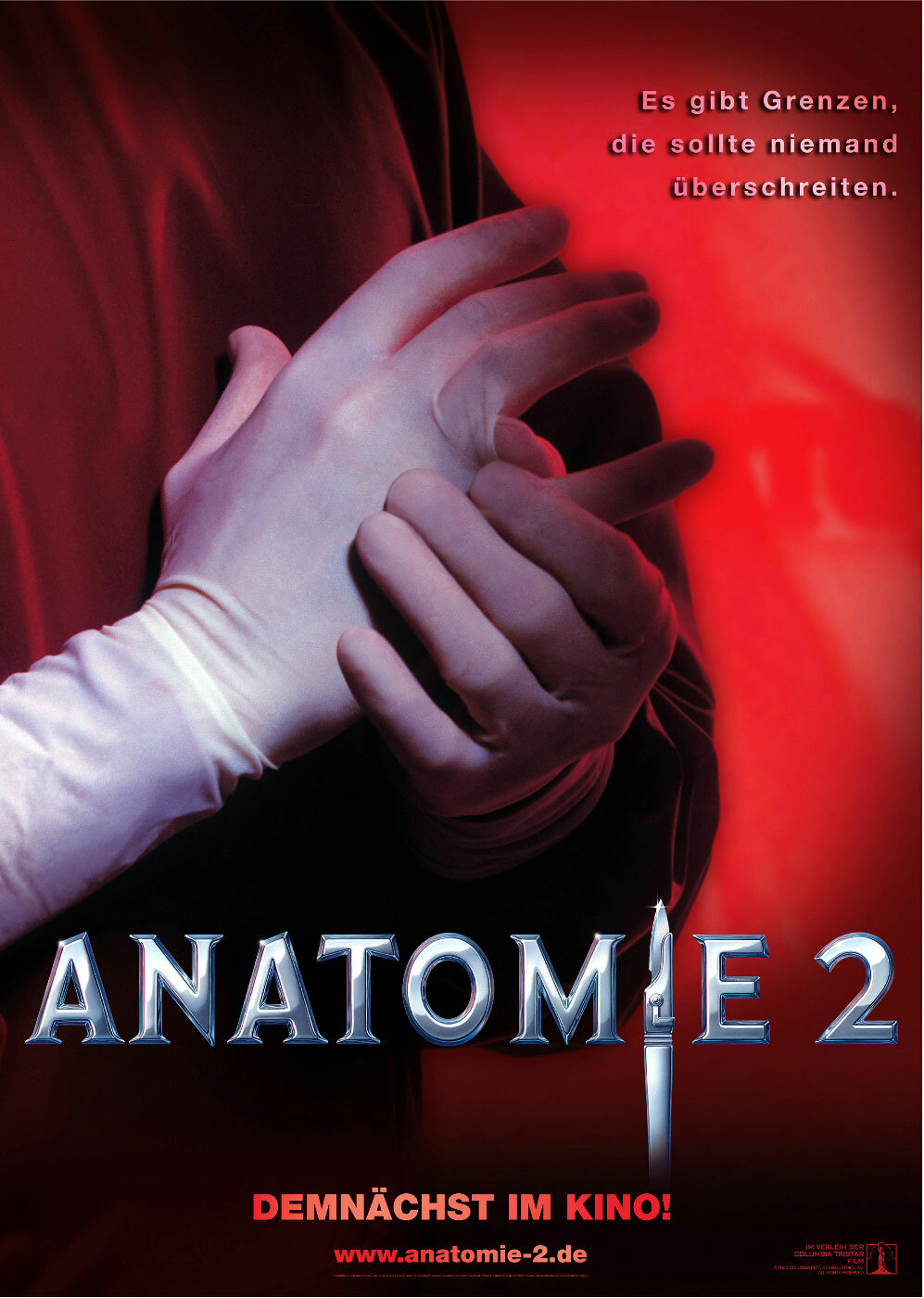 Анатомия 2