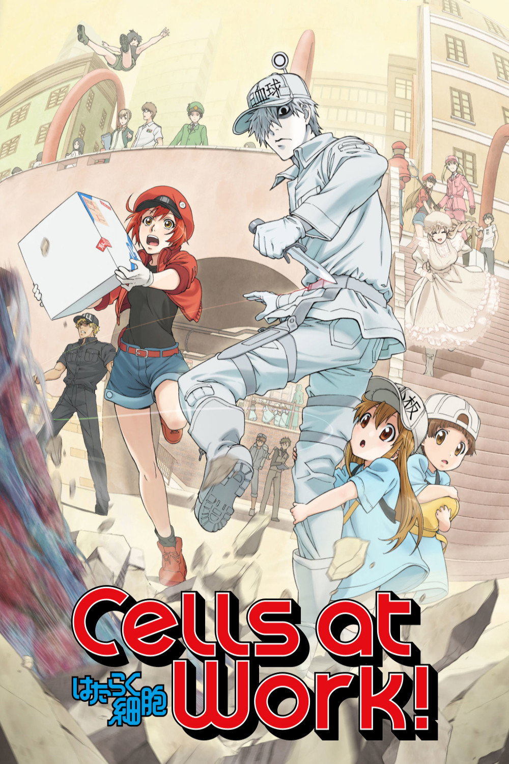 Cells at Work!