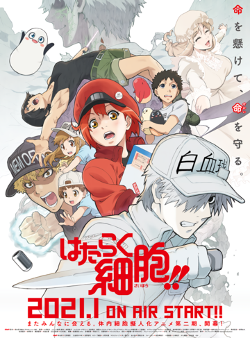 Cells at Work!