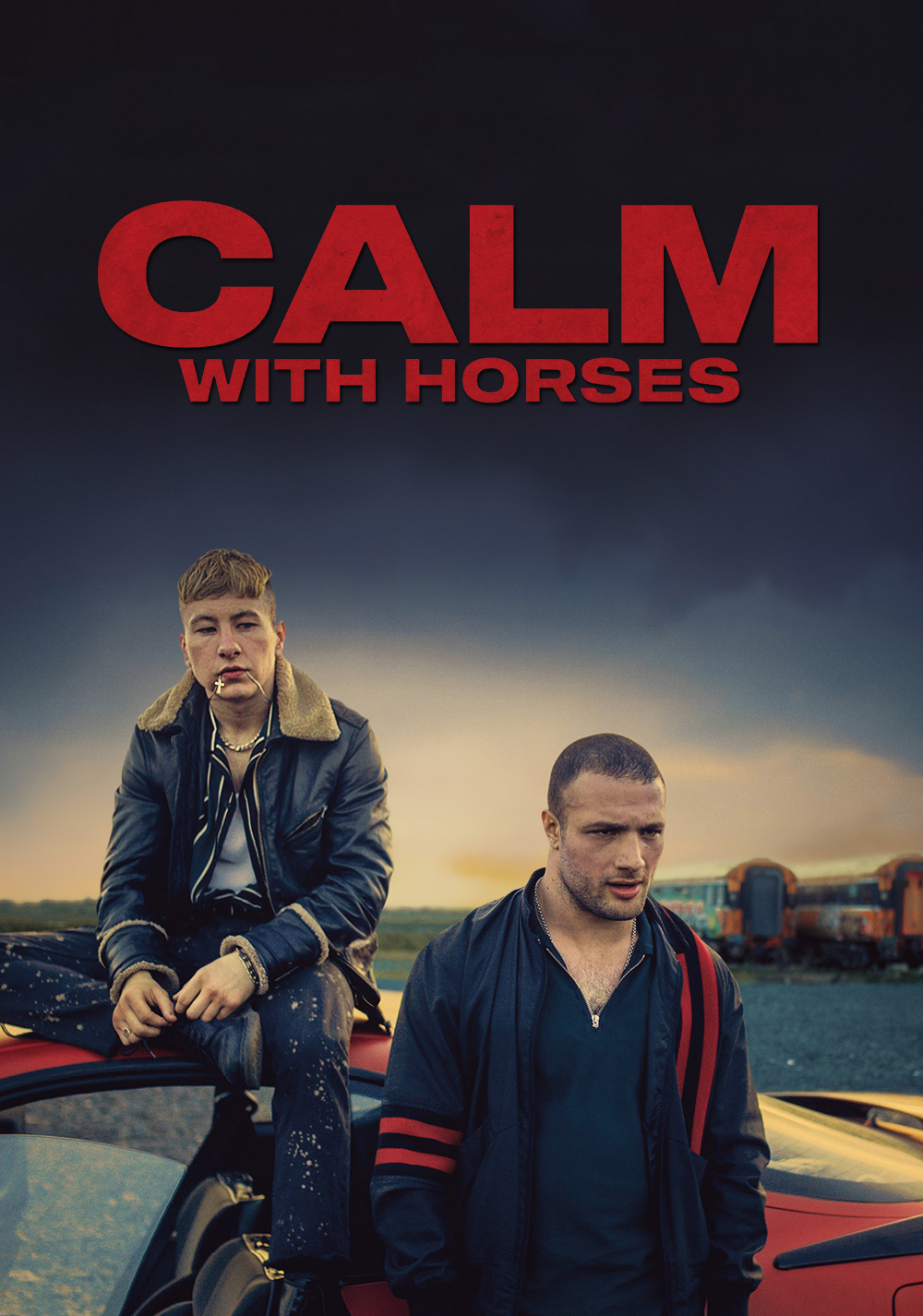 Calm with Horses