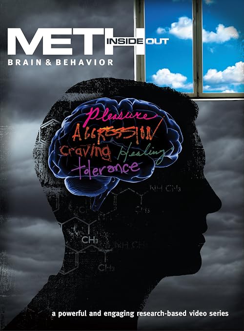 Meth Inside Out: Brain & Behavior