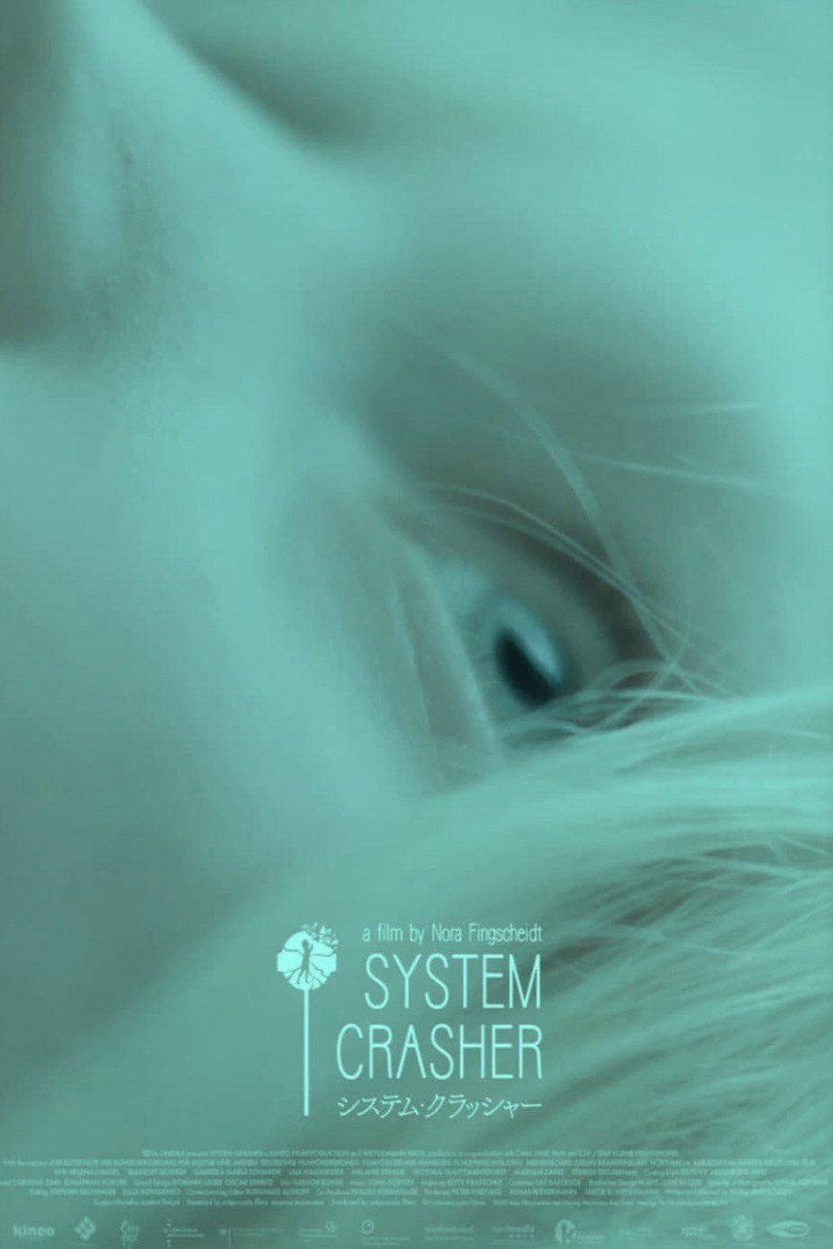 Systemsprenger