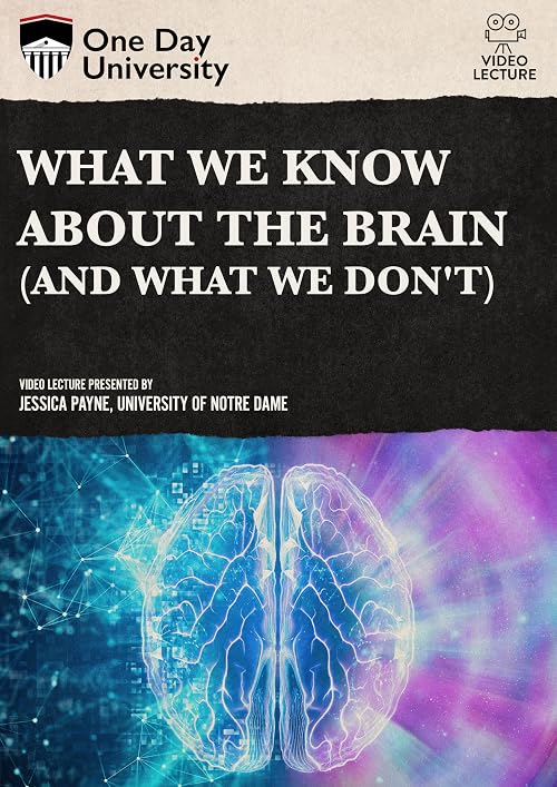 What We Know About the Brain (and What We Don't)