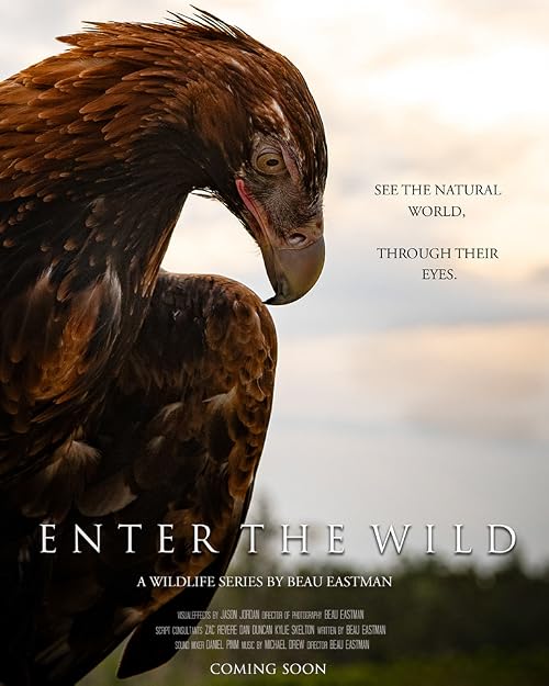 Enter the Wild