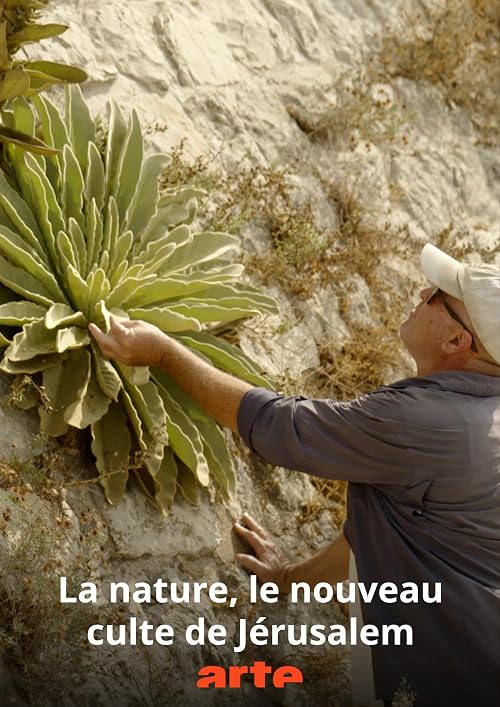 La nature, le nouveau culte de Jérusalem