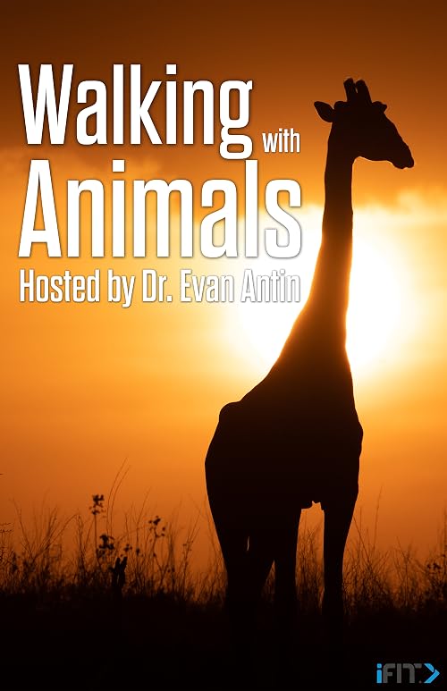 Walking with Animals