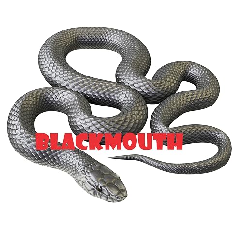 BlackMouth