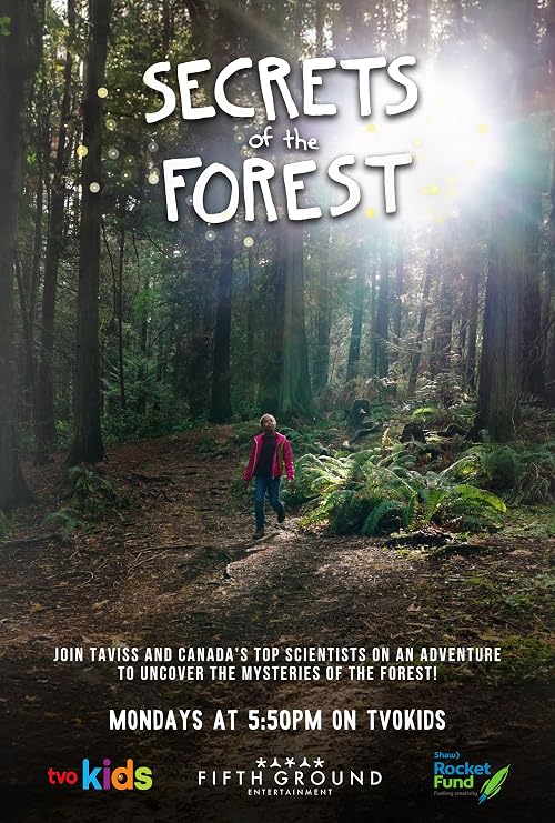 Secrets of the Forest