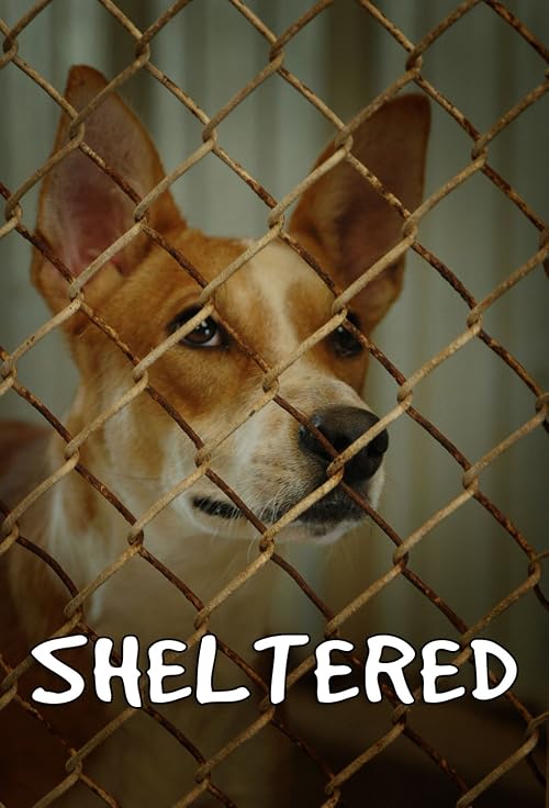Sheltered