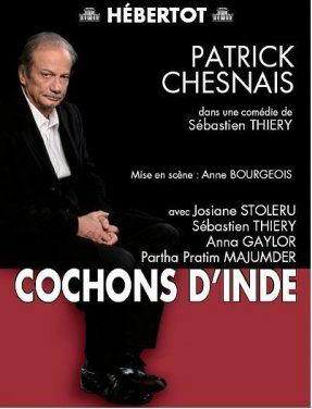 Cochons d'Inde