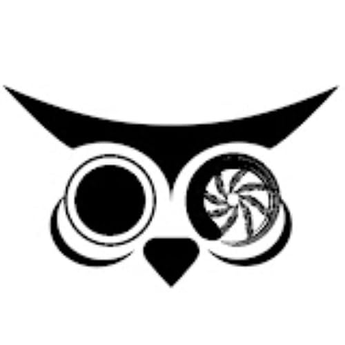 Photo Owl Time Lapse