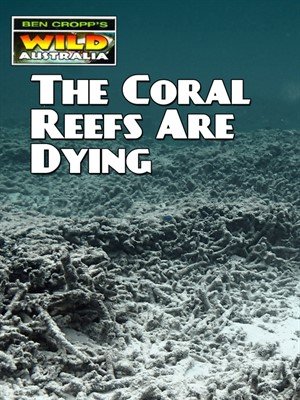 The Coral Reefs Are Dying