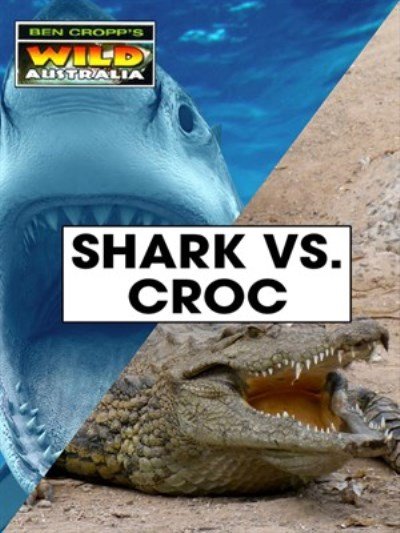 Shark v Crocodile