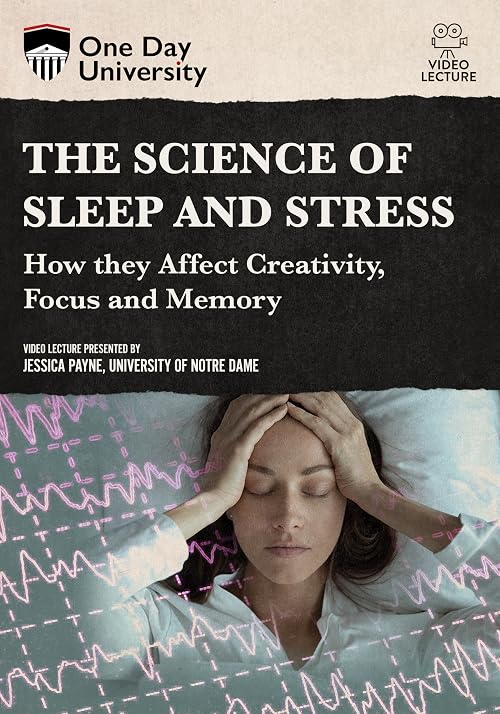 The Science of Sleep and Stress: How they Affect Creativity, Focus and Memory