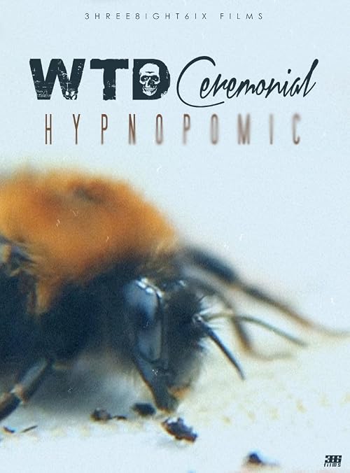 WTD Ceremonial: Hypnopompic