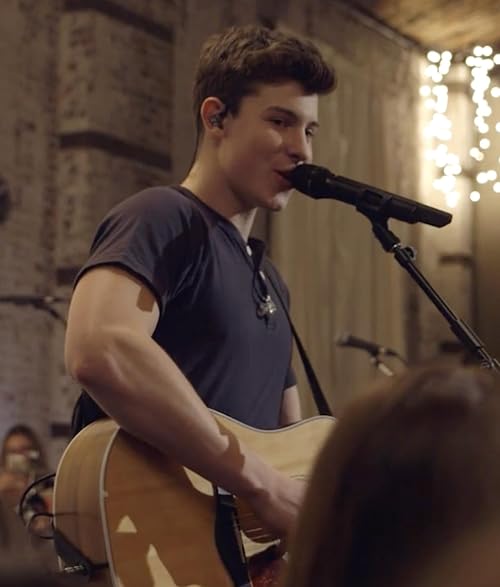 Shawn Mendes Stitches Lift