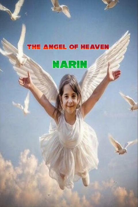 The Angel of Heaven: Narin