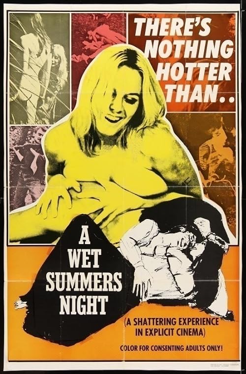A Wet Summers Night