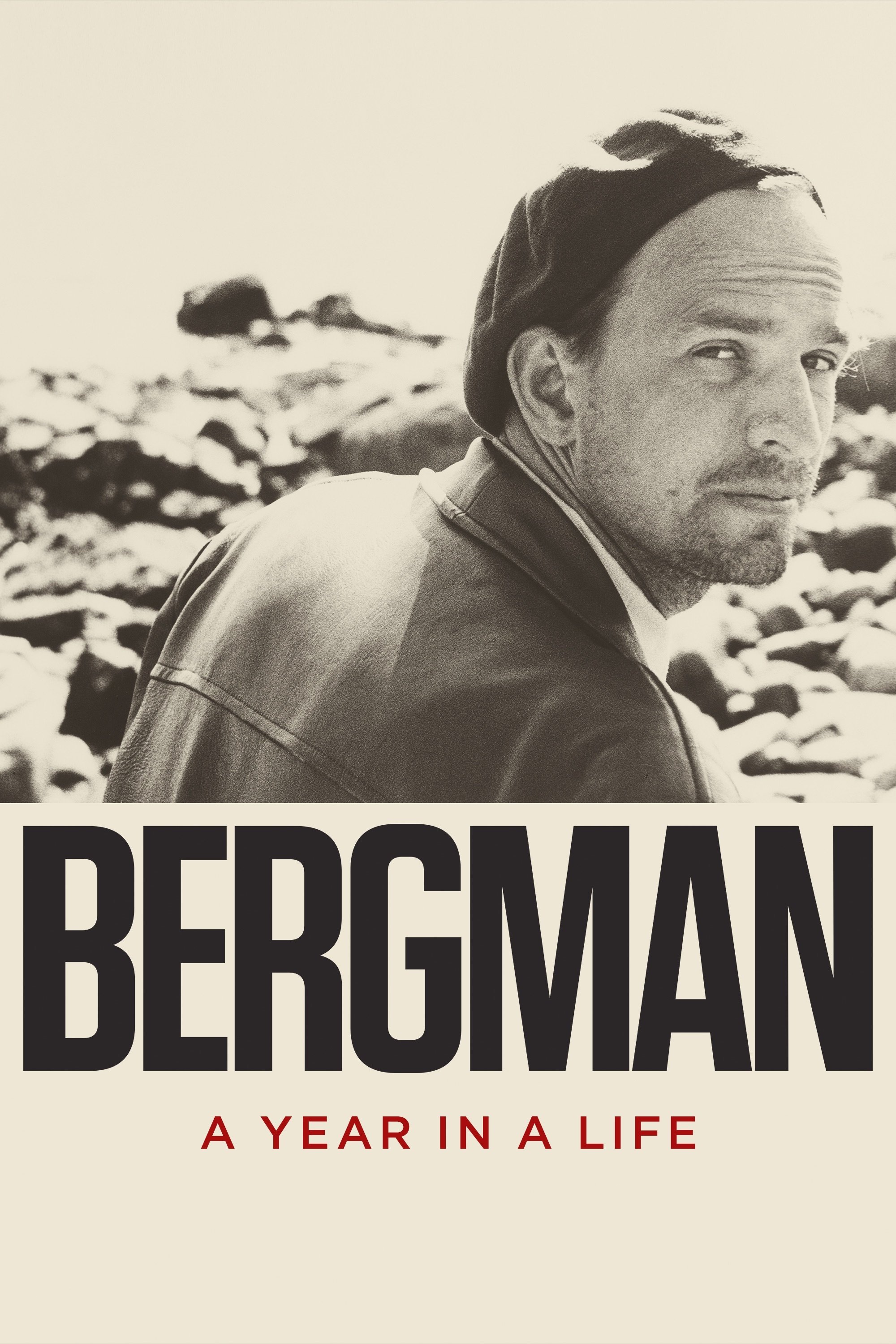 Bergman — A Year in a Life
