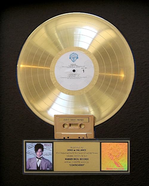 Controversy, Prince