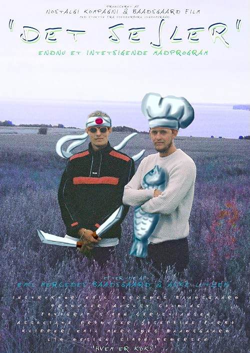 Det Sejler