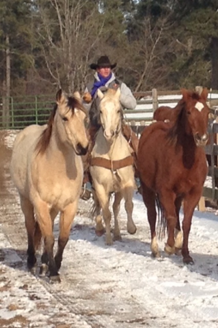 Horse People