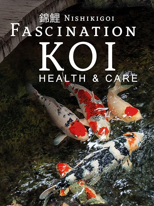 Nishikigoi - Fascination Koi - Health & Care