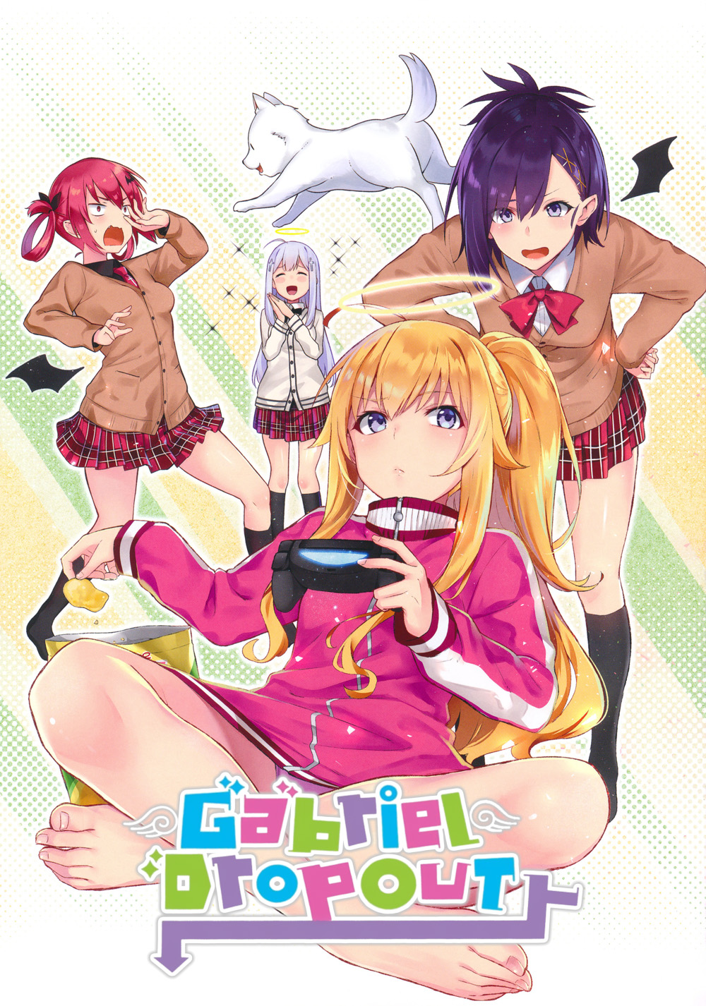 Gabriel DropOut