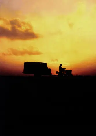 The Straight Story - Eine wahre Geschichte