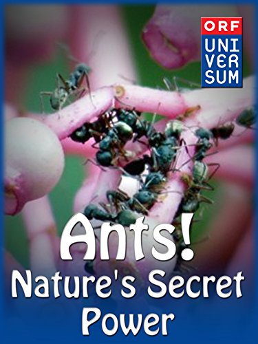 Ants: Nature's Secret Power