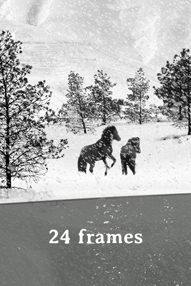24 кадра