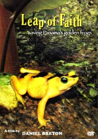 Leap of Faith