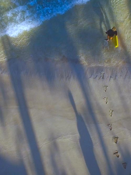 Mundial de Bodyboard