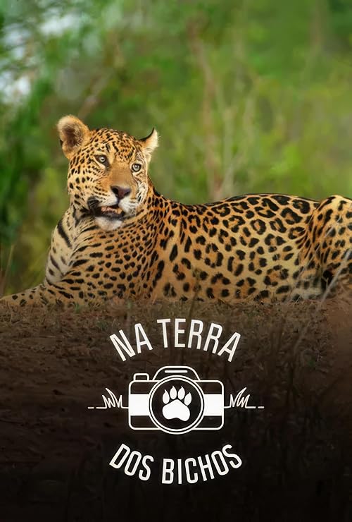 Na Terra dos Bichos