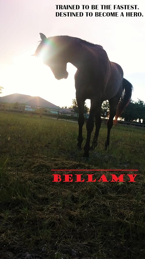 Tomorrow's Horse