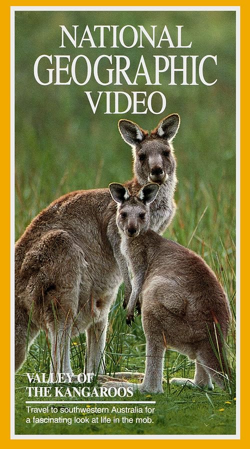 Valley of the Kangaroos