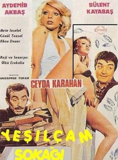 Yesilçam Sokagi