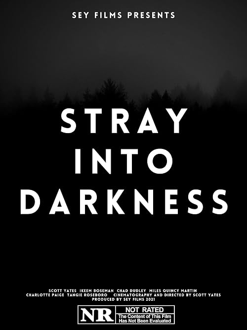 Stray into Darkness 2021