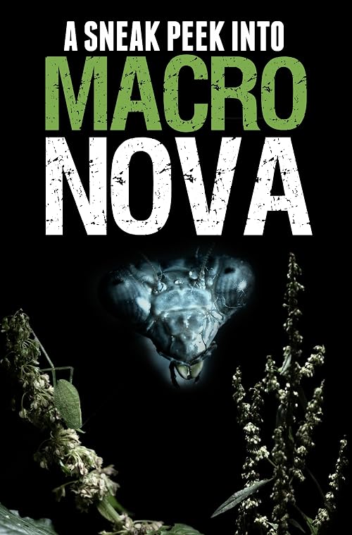 A Sneak Peek Into Macro Nova