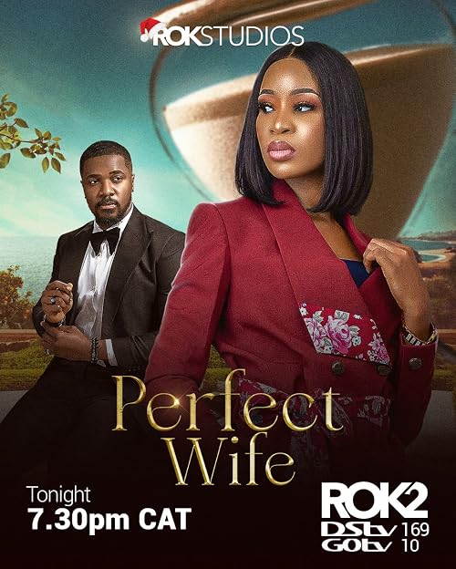 Perfect Wife