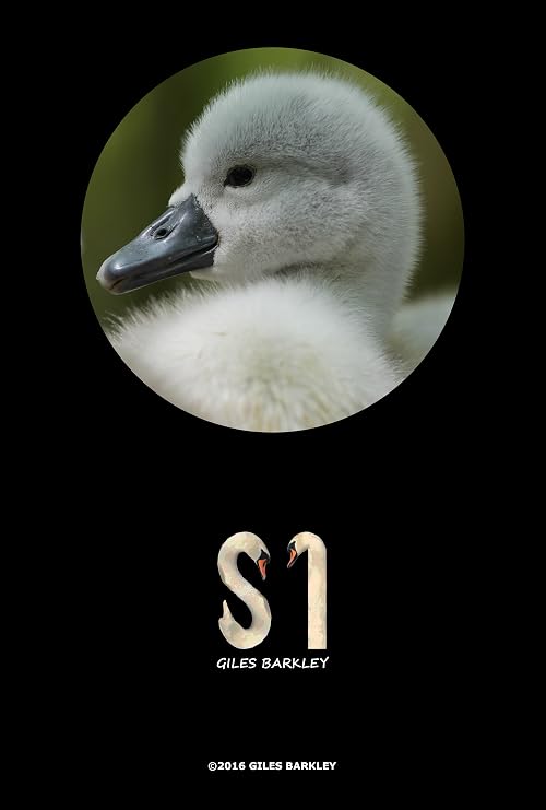 S1