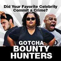 Gotcha Bounty Hunters