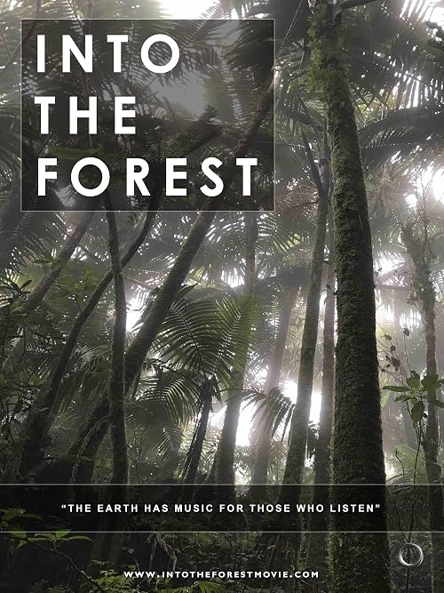 Into the Forest