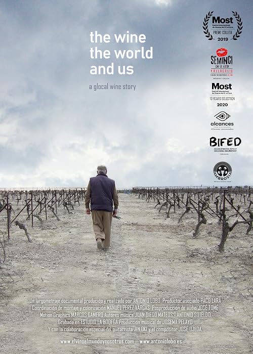 El vino, el mundo y nosotros
