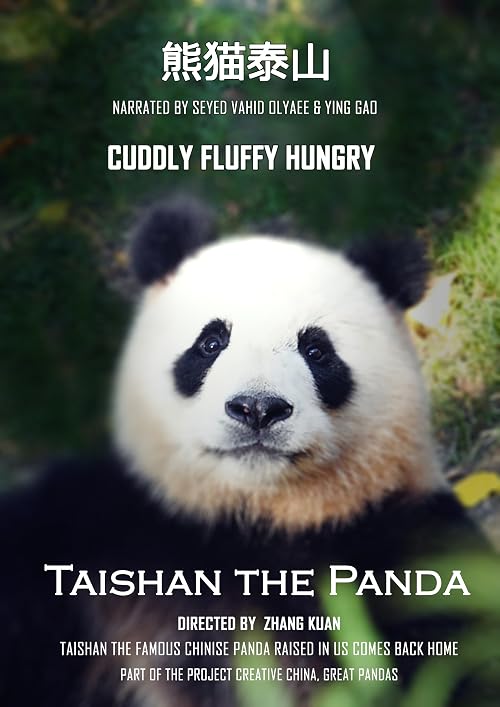 Taishan the panda