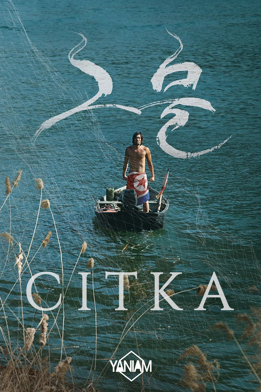 Сітка